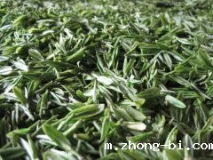 茶叶农药残留检测仪介绍