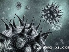 ATP荧光检测仪是什么？