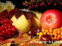 食品安全分析仪器捍卫“舌尖上的安全“