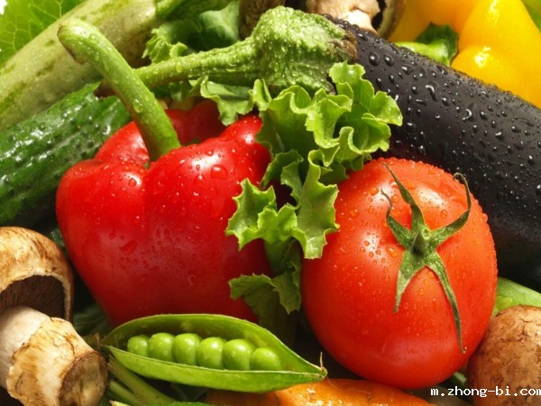 农药残留检测仪 农药残留检测仪