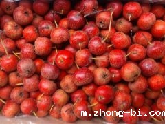 加强食品安全检测是保障食品安全的重要举措