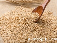 betway体育手机APPG1800食品安全快速检测仪