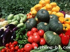 影响食品安全速测仪准确度的人为因素