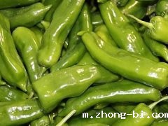 食品安全快速检测仪厂家哪家好？