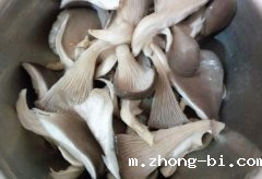 食品重金属检测仪：蘑菇喜欢富集重金属？
