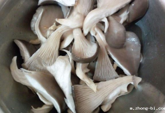 食品重金属检测仪：蘑菇喜欢富集重金属？