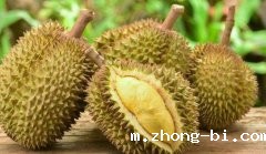 “哄抢榴莲”后续来了，网友：大快人心！