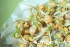 豆芽属于食品还是食用农产品呢？