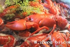 河南新乡进口南美白虾出现阳性核酸样本