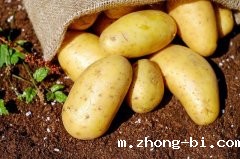 潮州市场监管局发布关于食用马铃薯及四季豆等食品的消费警示