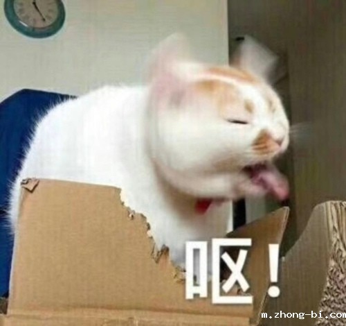 童子蛋是什么传统美食？