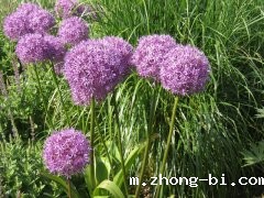 四川公布4批次不合格食品