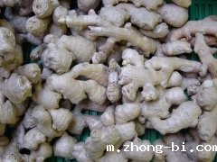 男人不可一日无姜？假的！