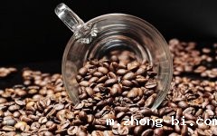 “屎”咖啡，残忍的买卖